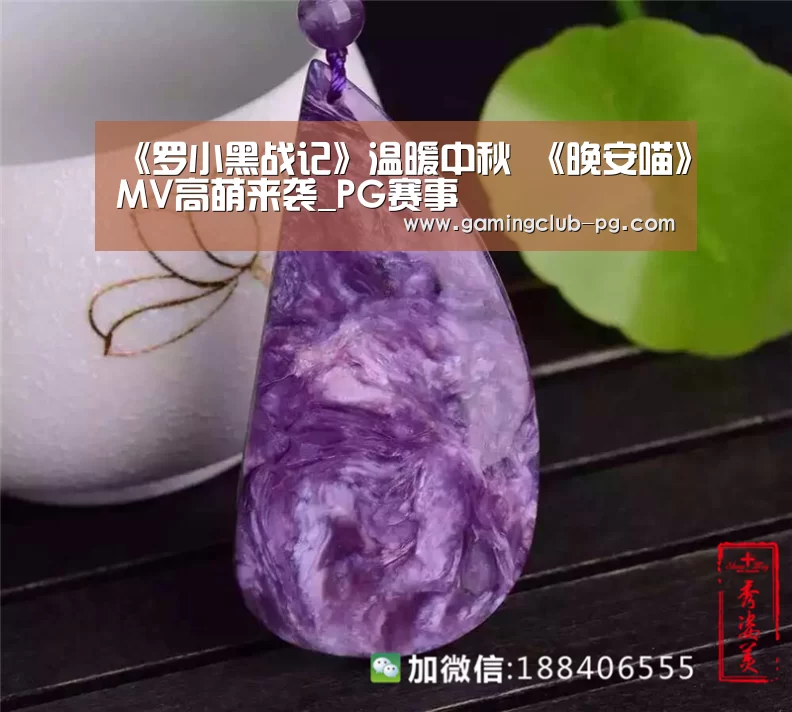 PG视讯