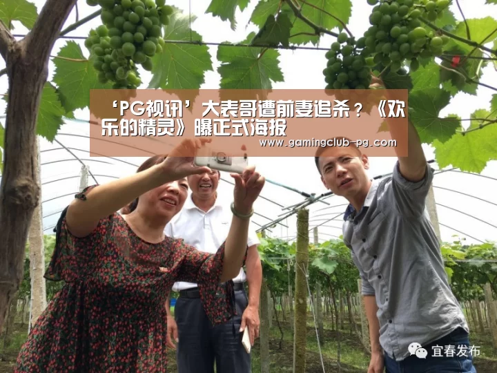 ‘PG视讯’大表哥遭前妻追杀?《欢乐的精灵》曝正式海报(图2) PG游艺